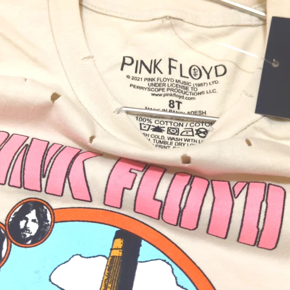 Pink Floyd twining moment